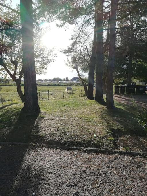 L'Appart De Blonville A 250M De La Plage Exteriér fotografie